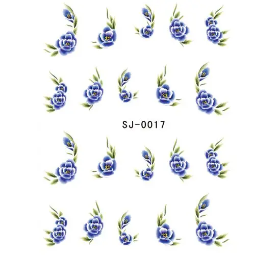 Vodolepka – tmavě modré květy s lístky