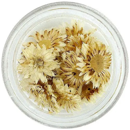 Bílé květy na nehty - sušené
